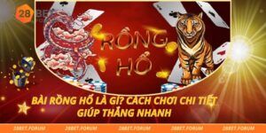 Bài Rồng Hổ Là Gì? Cách Chơi Chi Tiết Giúp Thắng Nhanh