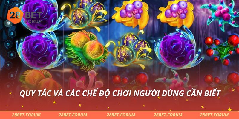 Quy tắc và các chế độ chơi người dùng cần biết