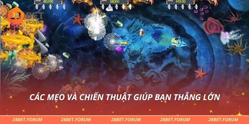 Bắn Cá H5 - Trò Chơi Giải Trí Đỉnh Cao Thu Hút Nhiều Người 4 Các mẹo và chiến thuật giúp bạn thắng lớn