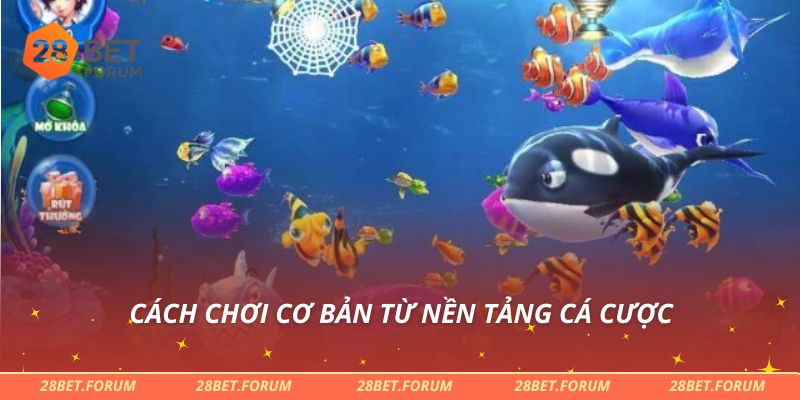 Bắn Cá H5 - Trò Chơi Giải Trí Đỉnh Cao Thu Hút Nhiều Người 3 Cách chơi cơ bản từ nền tảng cá cược