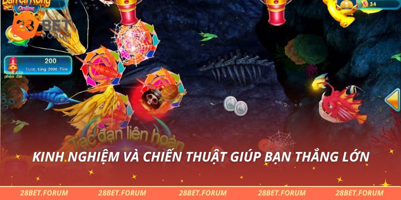 Kinh nghiệm và chiến thuật giúp bạn thắng lớn