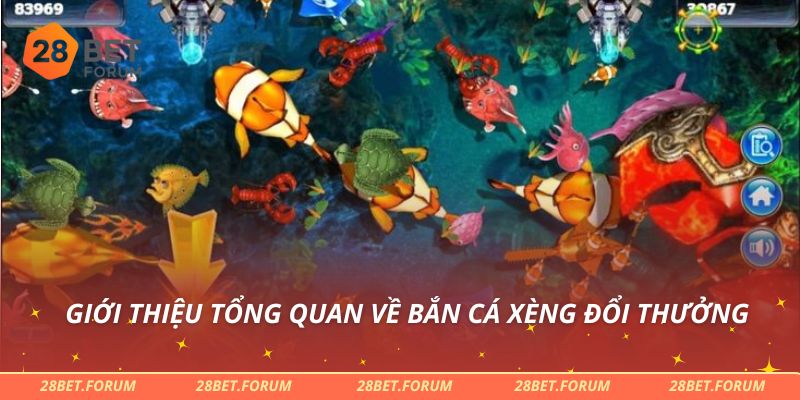 Bắn Cá Xèng Đổi Thưởng - Hướng Dẫn Chơi Và Thủ Thuật Hay 2 Giới thiệu tổng quan về bắn cá Xèng đổi thưởng