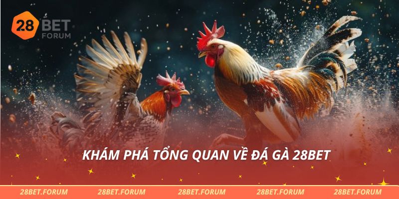 Khám phá tổng quan về đá gà 28bet