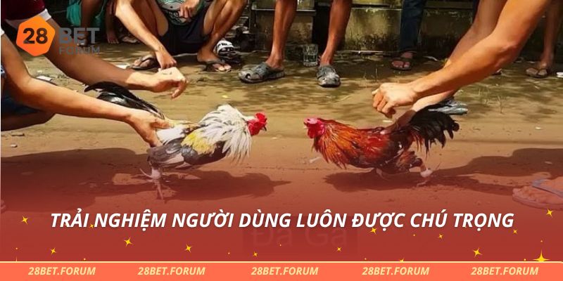 Trải nghiệm người dùng luôn được chú trọng
