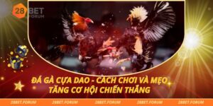 Đá Gà Cựa Dao - Cách Chơi Và Mẹo Tăng Cơ Hội Chiến Thắng