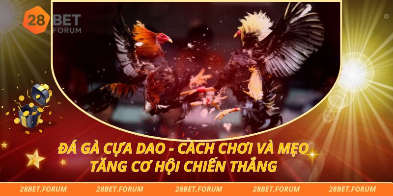 Đá Gà Cựa Dao - Cách Chơi Và Mẹo Tăng Cơ Hội Chiến Thắng