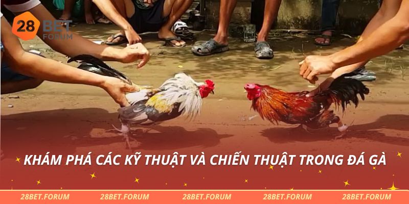 Khám phá các kỹ thuật và chiến thuật trong đá gà