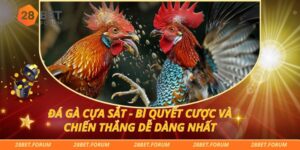 Đá Gà Cựa Sắt - Bí Quyết Cược Và Chiến Thắng Dễ Dàng Nhất