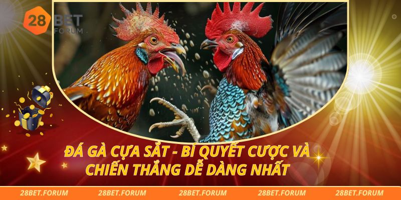 Đá Gà Cựa Sắt - Bí Quyết Cược Và Chiến Thắng Dễ Dàng Nhất