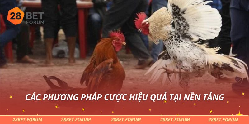 Đá Gà Cựa Sắt - Bí Quyết Cược Và Chiến Thắng Dễ Dàng Nhất 3 Các phương pháp cược hiệu quả tại nền tảng