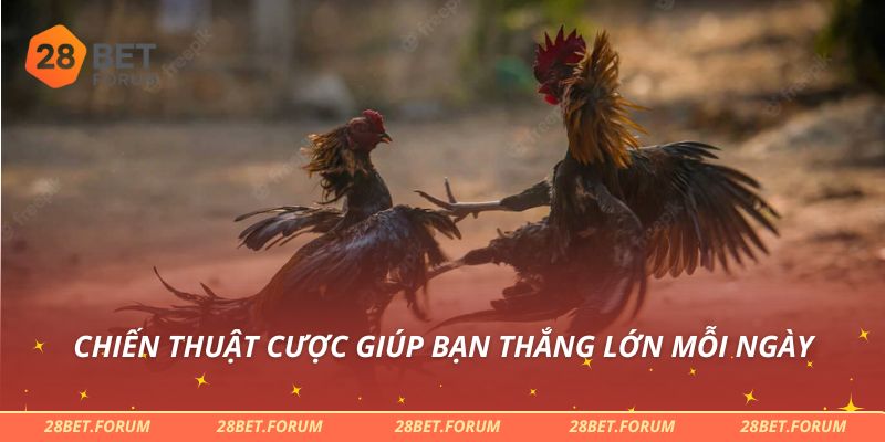 Chiến thuật cược giúp bạn thắng lớn mỗi ngày