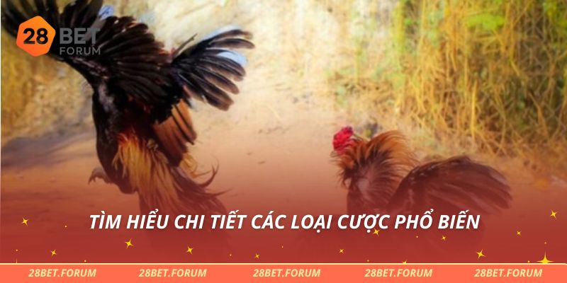 Tìm hiểu chi tiết các loại cược phổ biến