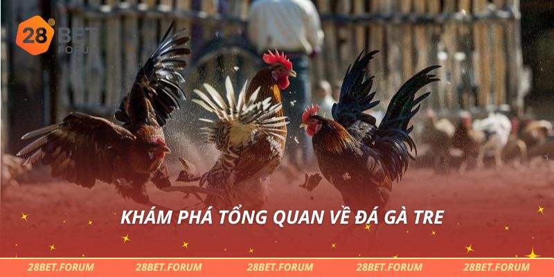 Khám phá tổng quan về đá gà tre