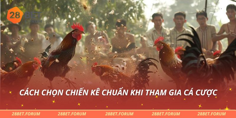 Cách chọn chiến kê chuẩn khi tham gia cá cược