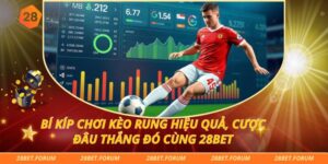 Bí Kíp Chơi Kèo Rung Hiệu Quả, Cược Đâu Thắng Đó Cùng 28bet
