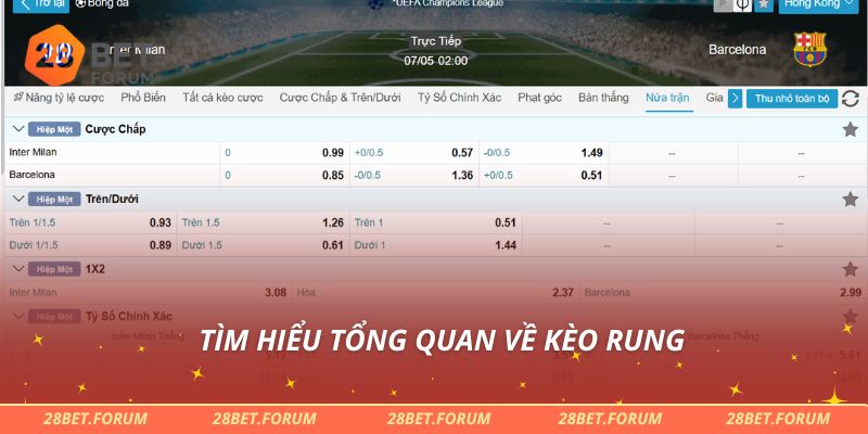 Bí Kíp Chơi Kèo Rung Hiệu Quả, Cược Đâu Thắng Đó Cùng 28bet 2 Tìm hiểu tổng quan về kèo rung