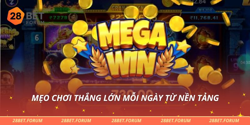 Mẹo chơi thắng lớn mỗi ngày từ nền tảng