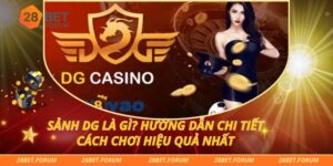 Sảnh DG Là Gì? Hướng Dẫn Chi Tiết Cách Chơi Hiệu Quả Nhất