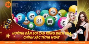 Hướng Dẫn Soi Cầu Rồng Bạch Kim Chính Xác Từng Ngày
