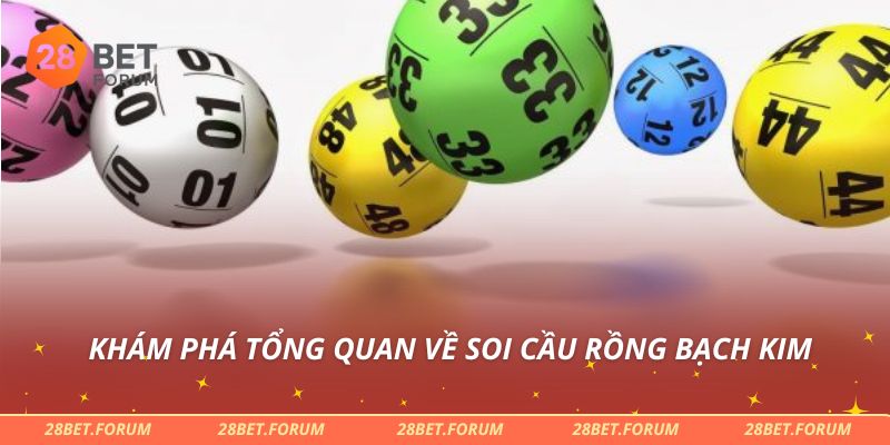 Khám phá tổng quan về soi cầu rồng bạch kim