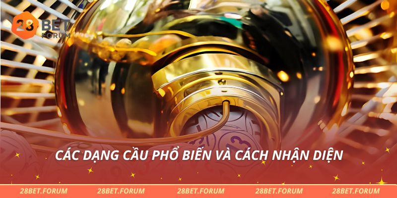 Các dạng cầu phổ biến và cách nhận diện